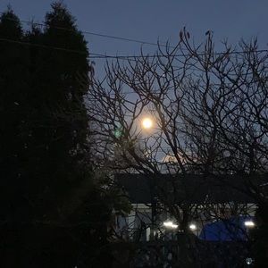 Meet your Posher, Suzanne